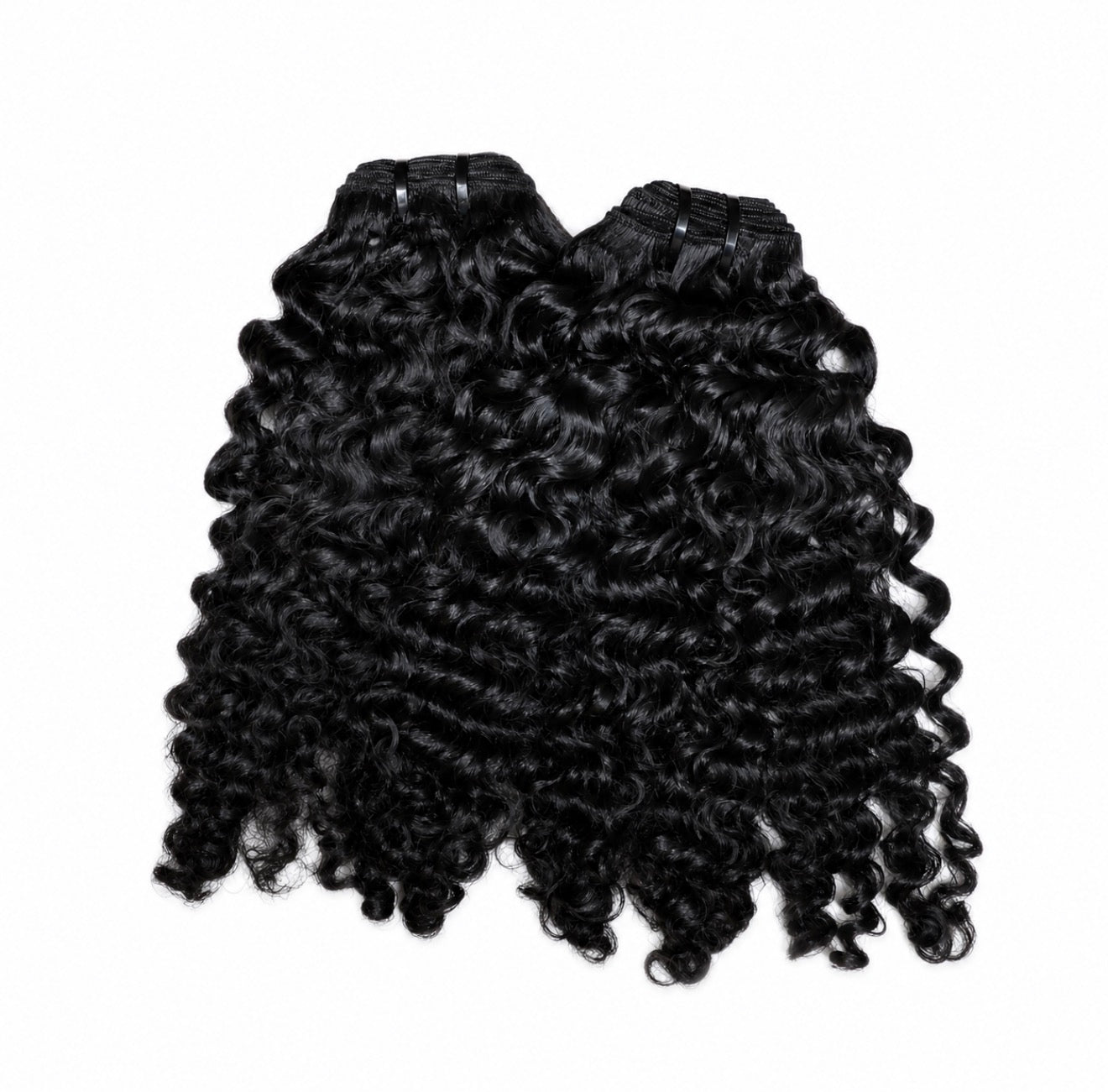Burmese Curly