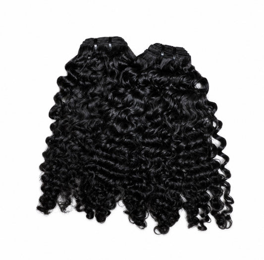 Burmese Curly